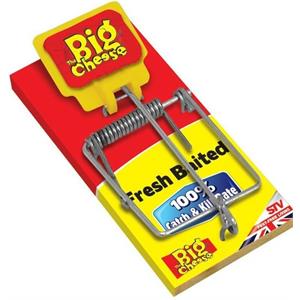 THE BIG CHEESE FRESH BAITED RAT TRAP STV195 Image 1
